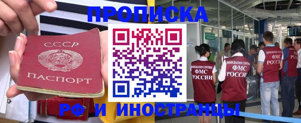 прописка 2025 в Коле